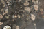 Image before