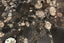 Image after
