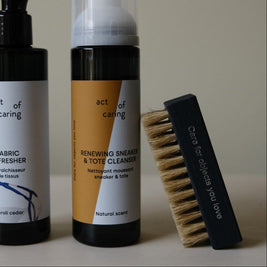 Sneaker and Tote Brush